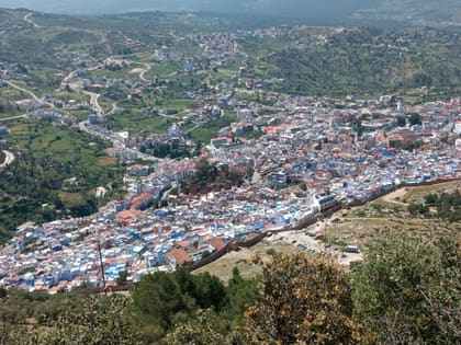 Blick von oben auf Chefchaouen, die blauen Häuser im grünen Rif