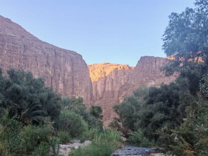 Der Fluss in der Todra-Schlucht, zwischen hohen Felswänden